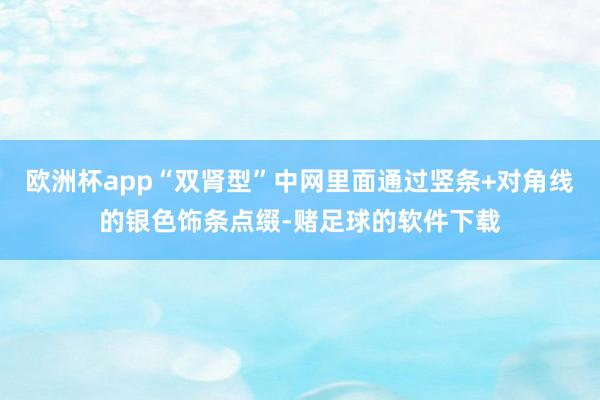 欧洲杯app“双肾型”中网里面通过竖条+对角线的银色饰条点缀-赌足球的软件下载