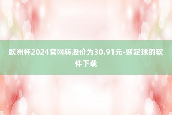 欧洲杯2024官网转股价为30.91元-赌足球的软件下载