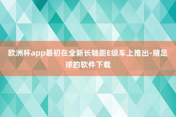 欧洲杯app最初在全新长轴距E级车上推出-赌足球的软件下载