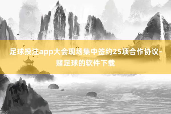 足球投注app大会现场集中签约25项合作协议-赌足球的软件下载