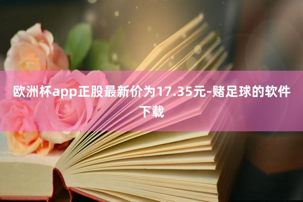 欧洲杯app正股最新价为17.35元-赌足球的软件下载