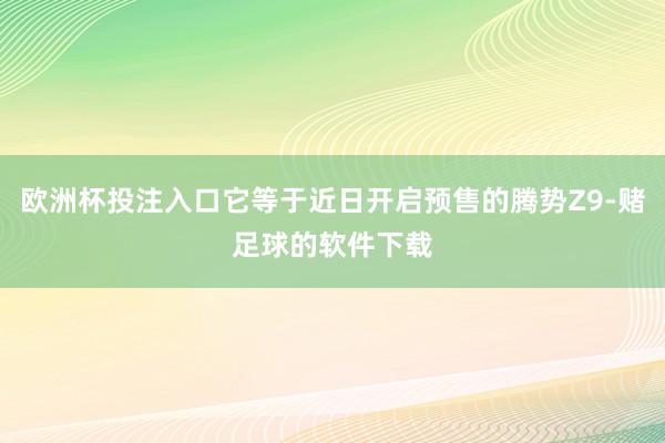 欧洲杯投注入口它等于近日开启预售的腾势Z9-赌足球的软件下载