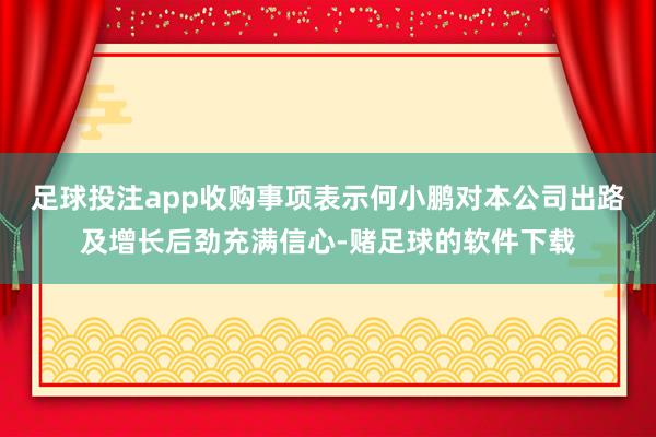 足球投注app收购事项表示何小鹏对本公司出路及增长后劲充满信心-赌足球的软件下载