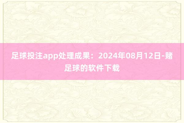 足球投注app处理成果：2024年08月12日-赌足球的软件下载