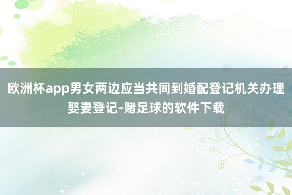 欧洲杯app男女两边应当共同到婚配登记机关办理娶妻登记-赌足球的软件下载