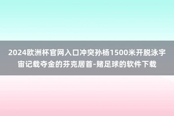 2024欧洲杯官网入口冲突孙杨1500米开脱泳宇宙记载夺金的芬克居首-赌足球的软件下载