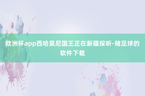 欧洲杯app西哈莫尼国王正在新疆探听-赌足球的软件下载