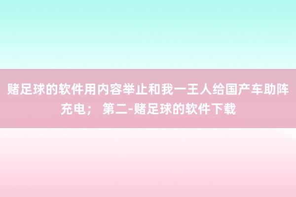 赌足球的软件用内容举止和我一王人给国产车助阵充电； 第二-赌足球的软件下载