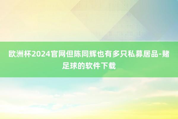 欧洲杯2024官网但陈同辉也有多只私募居品-赌足球的软件下载