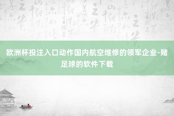 欧洲杯投注入口动作国内航空维修的领军企业-赌足球的软件下载