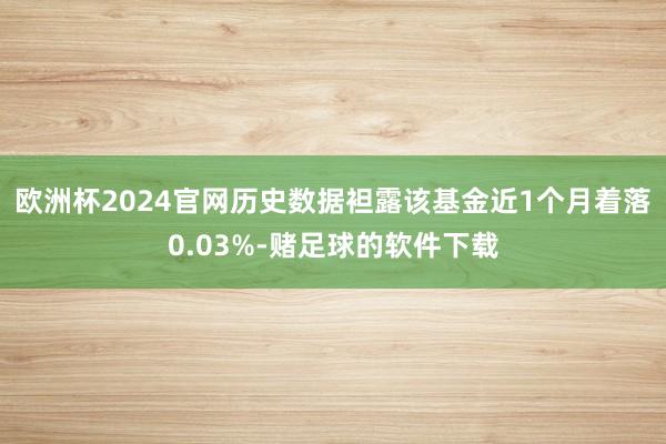 欧洲杯2024官网历史数据袒露该基金近1个月着落0.03%-赌足球的软件下载