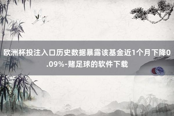 欧洲杯投注入口历史数据暴露该基金近1个月下降0.09%-赌足球的软件下载