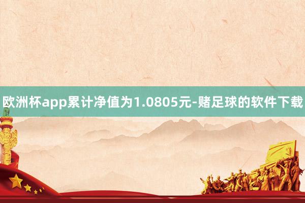 欧洲杯app累计净值为1.0805元-赌足球的软件下载