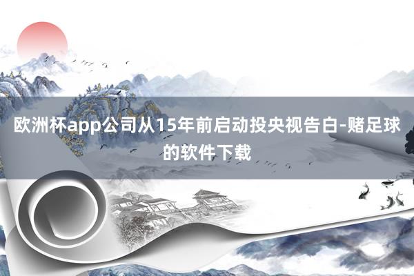 欧洲杯app公司从15年前启动投央视告白-赌足球的软件下载