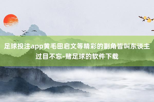 足球投注app黄毛田启文等精彩的副角皆叫东谈主过目不忘-赌足球的软件下载