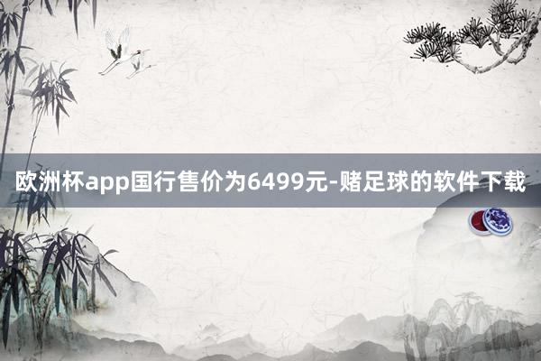 欧洲杯app国行售价为6499元-赌足球的软件下载