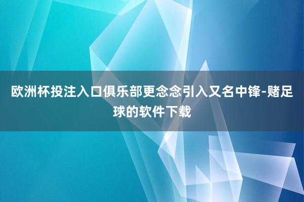 欧洲杯投注入口俱乐部更念念引入又名中锋-赌足球的软件下载