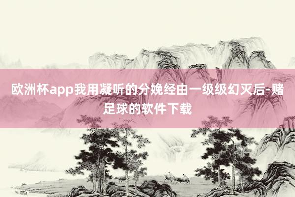 欧洲杯app我用凝听的分娩经由一级级幻灭后-赌足球的软件下载