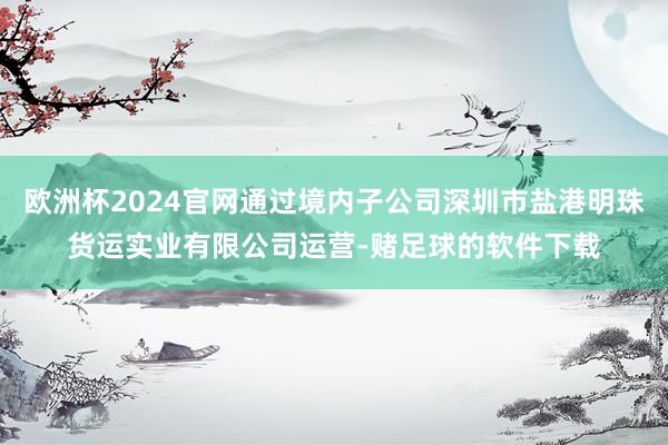 欧洲杯2024官网通过境内子公司深圳市盐港明珠货运实业有限公司运营-赌足球的软件下载