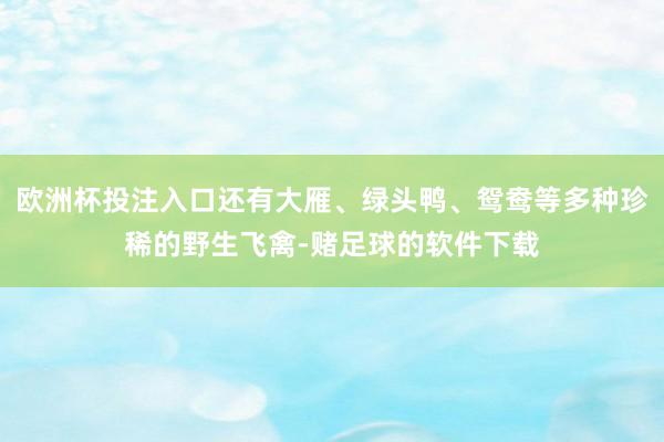 欧洲杯投注入口还有大雁、绿头鸭、鸳鸯等多种珍稀的野生飞禽-赌足球的软件下载