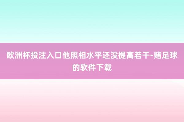 欧洲杯投注入口他照相水平还没提高若干-赌足球的软件下载