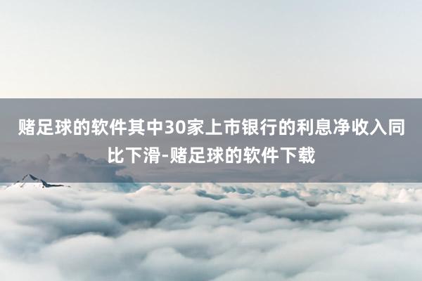 赌足球的软件其中30家上市银行的利息净收入同比下滑-赌足球的软件下载