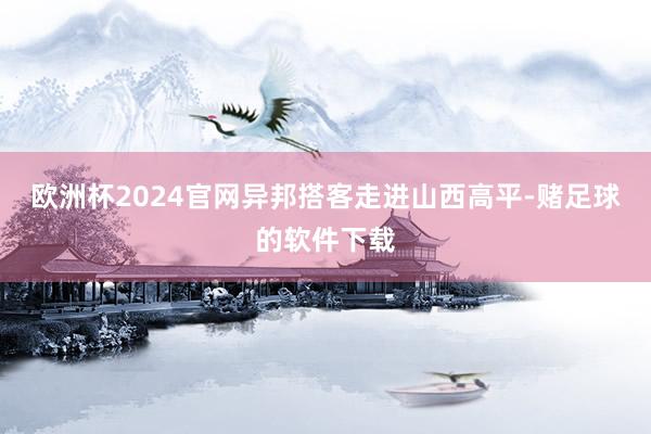 欧洲杯2024官网异邦搭客走进山西高平-赌足球的软件下载