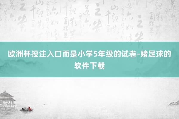 欧洲杯投注入口而是小学5年级的试卷-赌足球的软件下载