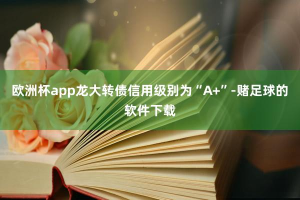 欧洲杯app龙大转债信用级别为“A+”-赌足球的软件下载