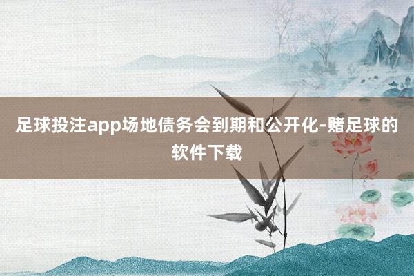 足球投注app场地债务会到期和公开化-赌足球的软件下载