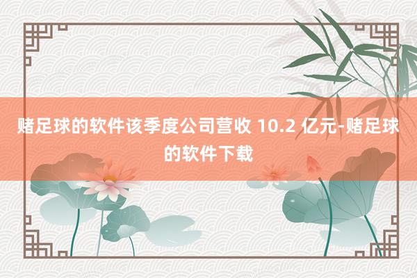 赌足球的软件该季度公司营收 10.2 亿元-赌足球的软件下载