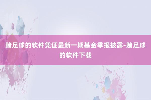 赌足球的软件凭证最新一期基金季报披露-赌足球的软件下载