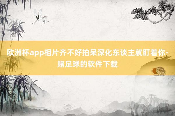 欧洲杯app相片齐不好拍呆深化东谈主就盯着你-赌足球的软件下载