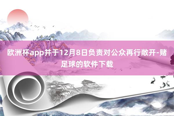 欧洲杯app并于12月8日负责对公众再行敞开-赌足球的软件下载