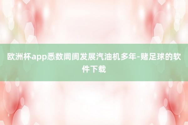 欧洲杯app悉数阛阓发展汽油机多年-赌足球的软件下载