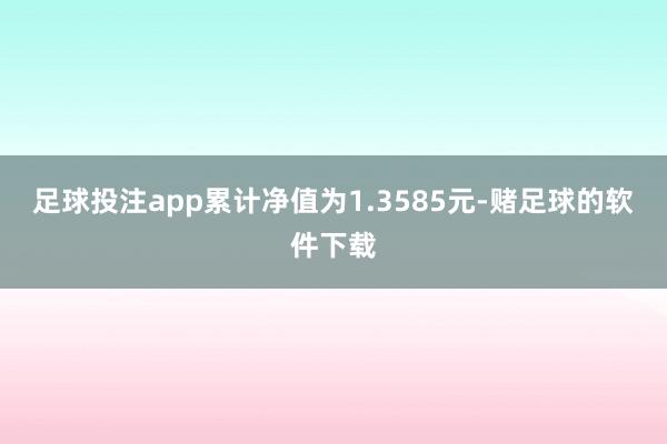 足球投注app累计净值为1.3585元-赌足球的软件下载