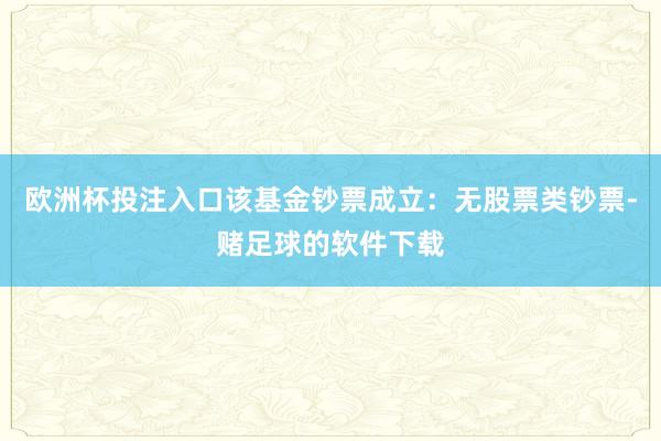 欧洲杯投注入口该基金钞票成立：无股票类钞票-赌足球的软件下载