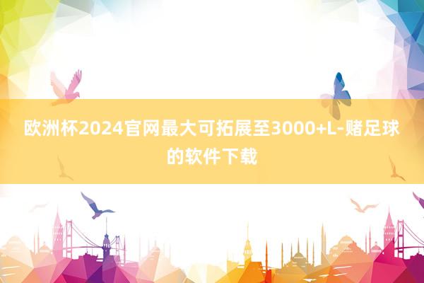 欧洲杯2024官网最大可拓展至3000+L-赌足球的软件下载