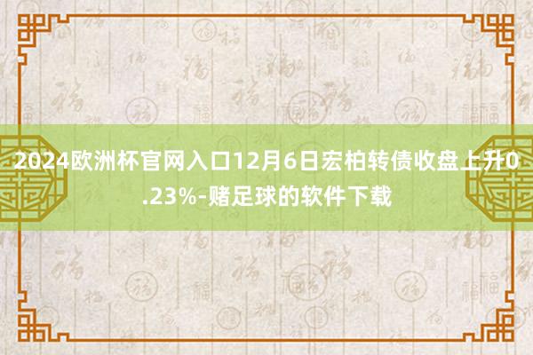 2024欧洲杯官网入口12月6日宏柏转债收盘上升0.23%-赌足球的软件下载