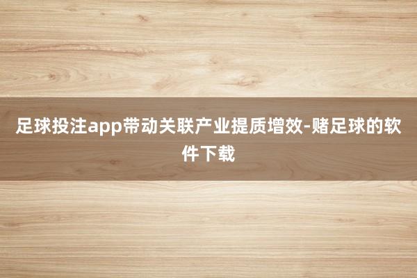 足球投注app带动关联产业提质增效-赌足球的软件下载