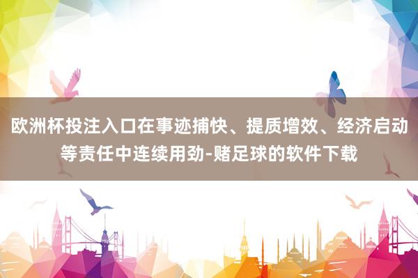 欧洲杯投注入口在事迹捕快、提质增效、经济启动等责任中连续用劲-赌足球的软件下载