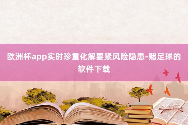 欧洲杯app实时珍重化解要紧风险隐患-赌足球的软件下载