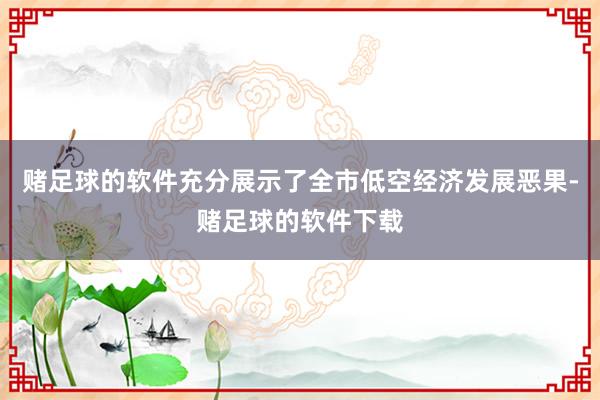 赌足球的软件充分展示了全市低空经济发展恶果-赌足球的软件下载