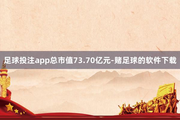 足球投注app总市值73.70亿元-赌足球的软件下载