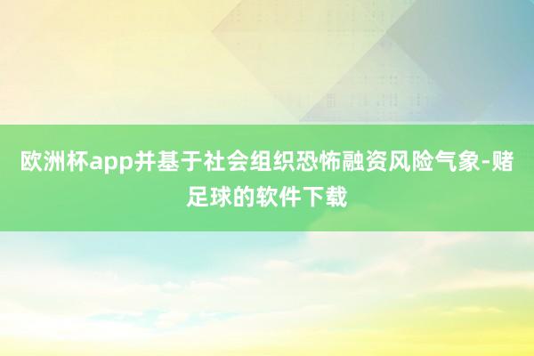 欧洲杯app并基于社会组织恐怖融资风险气象-赌足球的软件下载