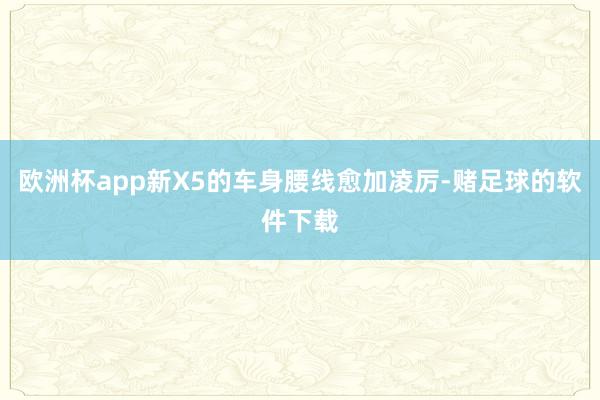 欧洲杯app新X5的车身腰线愈加凌厉-赌足球的软件下载