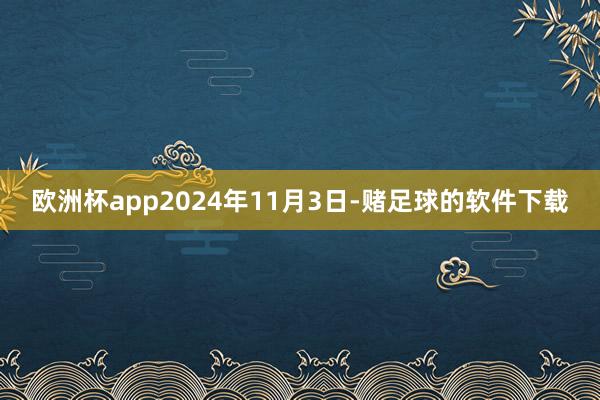 欧洲杯app2024年11月3日-赌足球的软件下载