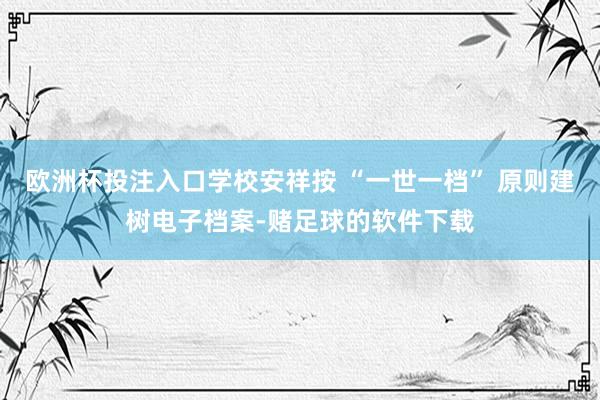 欧洲杯投注入口学校安祥按 “一世一档” 原则建树电子档案-赌足球的软件下载