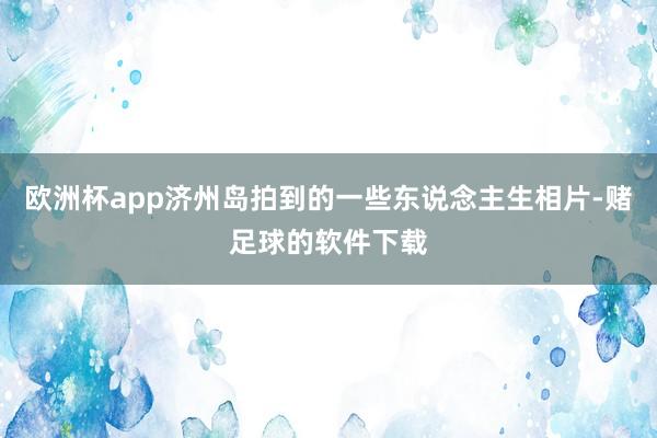 欧洲杯app济州岛拍到的一些东说念主生相片-赌足球的软件下载