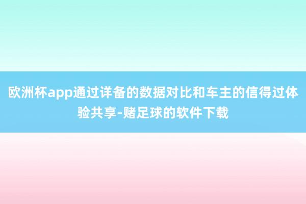 欧洲杯app通过详备的数据对比和车主的信得过体验共享-赌足球的软件下载